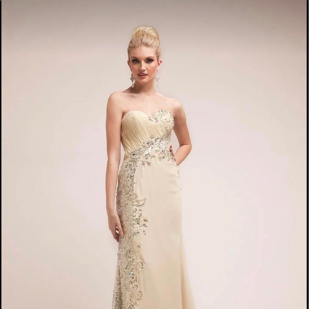 Brand New Cinderella Devine Gown Great  Prom Dress